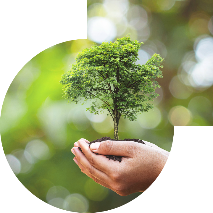 关怀人类、文化、环境与社会